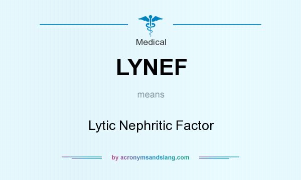 What does LYNEF mean? It stands for Lytic Nephritic Factor