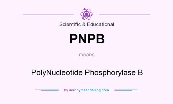 What does PNPB mean? It stands for PolyNucleotide Phosphorylase B