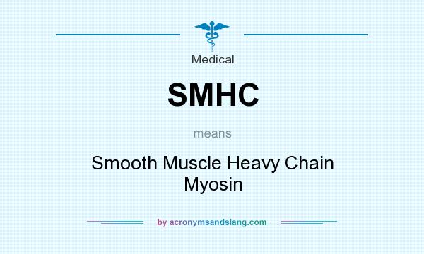 What does SMHC mean? It stands for Smooth Muscle Heavy Chain Myosin