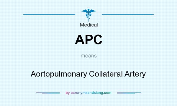 What does APC mean? It stands for Aortopulmonary Collateral Artery