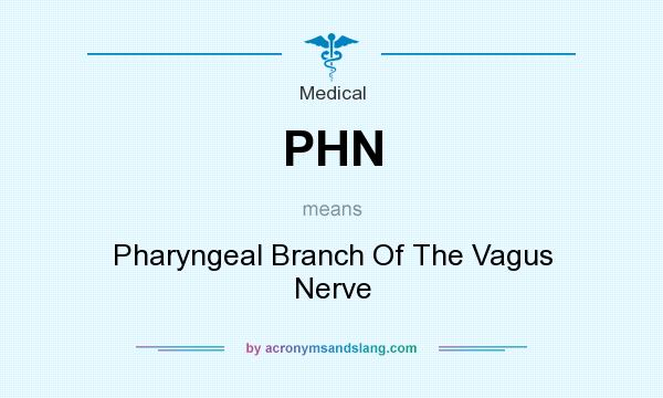 What does PHN mean? It stands for Pharyngeal Branch Of The Vagus Nerve