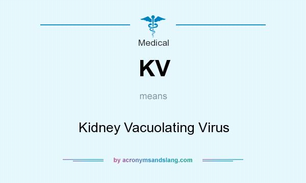 What does KV mean? It stands for Kidney Vacuolating Virus