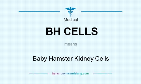 What does BH CELLS mean? It stands for Baby Hamster Kidney Cells