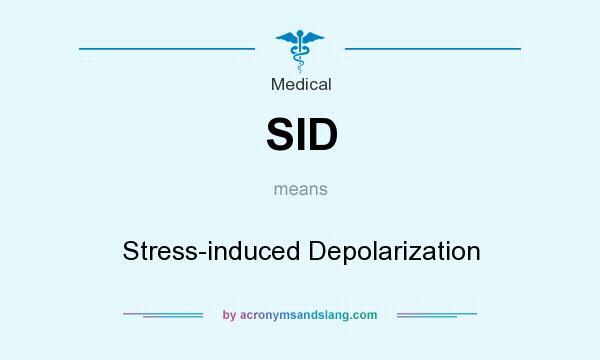 What does SID mean? It stands for Stress-induced Depolarization