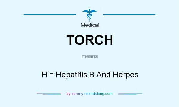 What does TORCH mean? It stands for H = Hepatitis B And Herpes