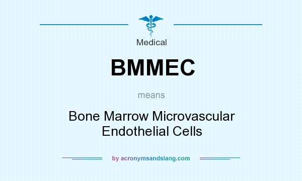 What does BMMEC mean? It stands for Bone Marrow Microvascular Endothelial Cells