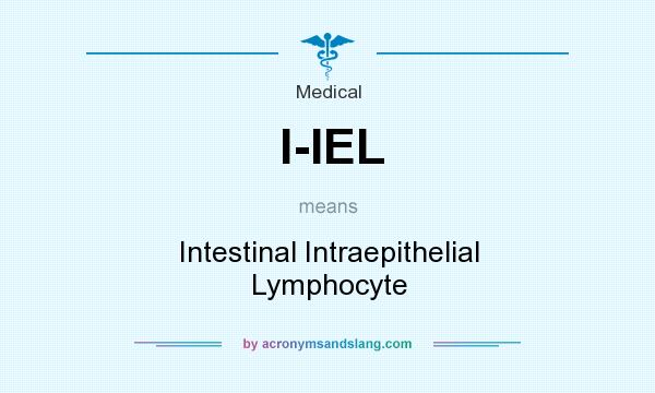 What does I-IEL mean? It stands for Intestinal Intraepithelial Lymphocyte