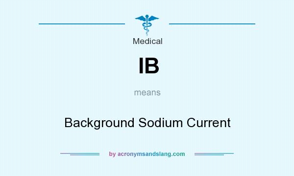 What does IB mean? It stands for Background Sodium Current