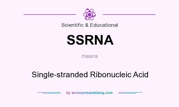 What does SSRNA mean? It stands for Single-stranded Ribonucleic Acid