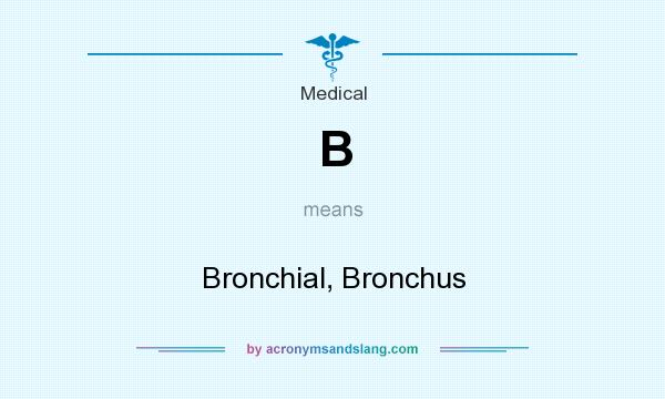 What does B mean? It stands for Bronchial, Bronchus