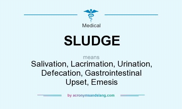 What does SLUDGE mean? It stands for Salivation, Lacrimation, Urination, Defecation, Gastrointestinal Upset, Emesis