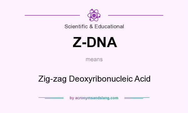 What does Z-DNA mean? It stands for Zig-zag Deoxyribonucleic Acid