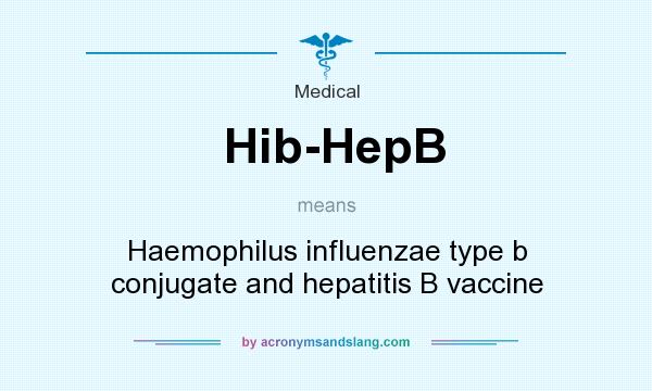 What does Hib-HepB mean? It stands for Haemophilus influenzae type b conjugate and hepatitis B vaccine