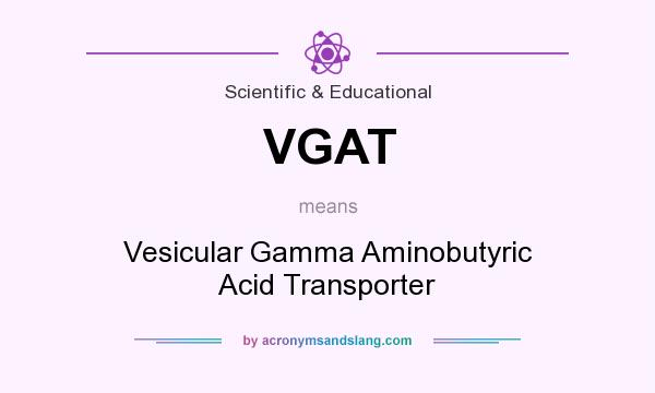 What does VGAT mean? It stands for Vesicular Gamma Aminobutyric Acid Transporter