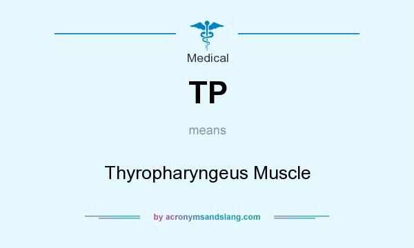 What does TP mean? It stands for Thyropharyngeus Muscle