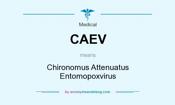 What does CAEV mean? It stands for Chironomus Attenuatus Entomopoxvirus