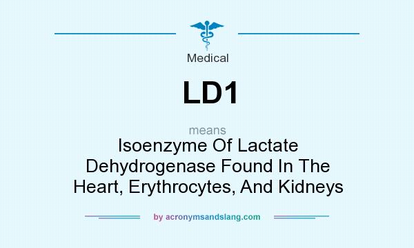 What does LD1 mean? It stands for Isoenzyme Of Lactate Dehydrogenase Found In The Heart, Erythrocytes, And Kidneys