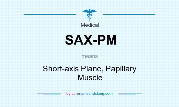 What does SAX-PM mean? It stands for Short-axis Plane, Papillary Muscle