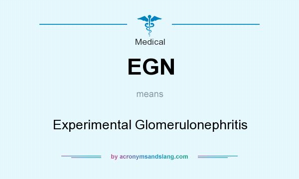 What does EGN mean? It stands for Experimental Glomerulonephritis