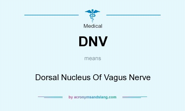 What does DNV mean? It stands for Dorsal Nucleus Of Vagus Nerve