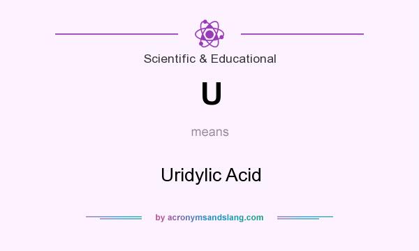 What does U mean? It stands for Uridylic Acid