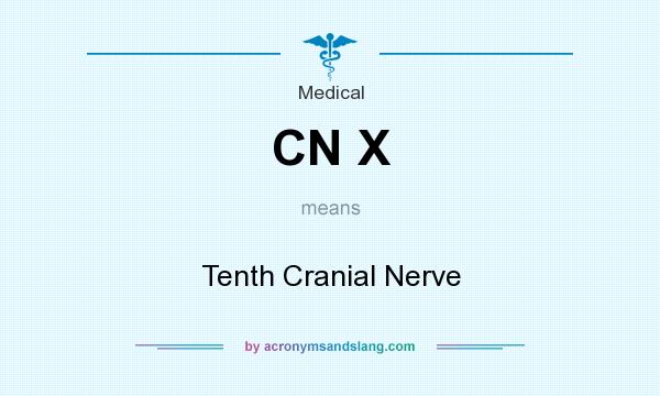 What does CN X mean? It stands for Tenth Cranial Nerve