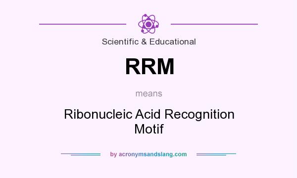 What does RRM mean? It stands for Ribonucleic Acid Recognition Motif