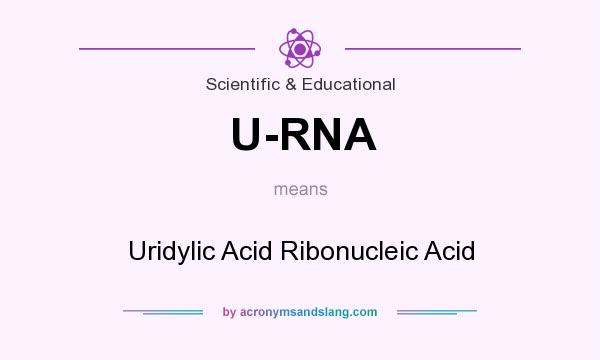 What does U-RNA mean? It stands for Uridylic Acid Ribonucleic Acid