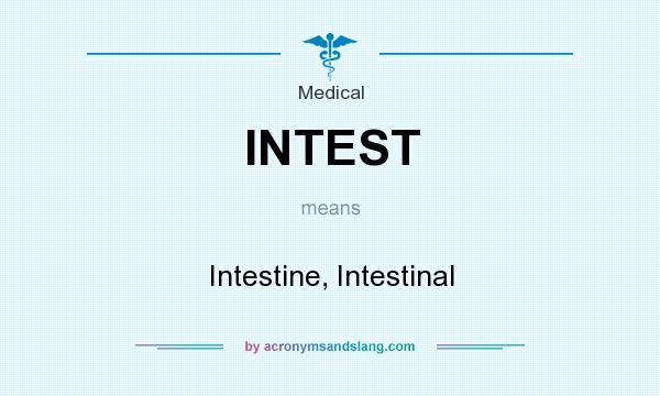 What does INTEST mean? It stands for Intestine, Intestinal