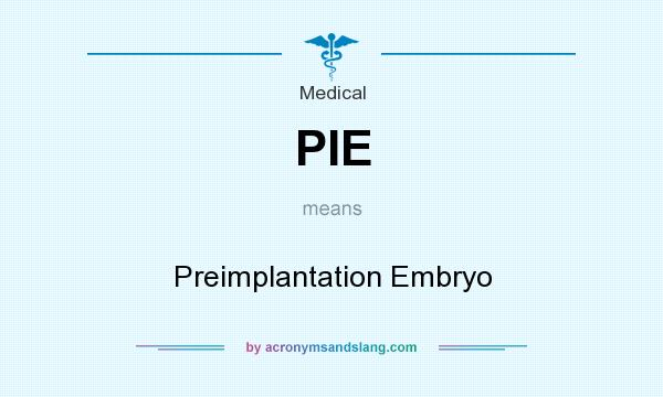 What does PIE mean? It stands for Preimplantation Embryo