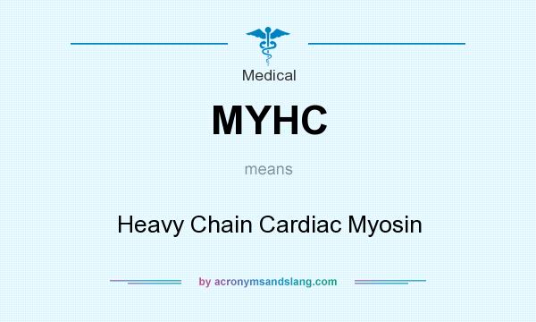 What does MYHC mean? It stands for Heavy Chain Cardiac Myosin