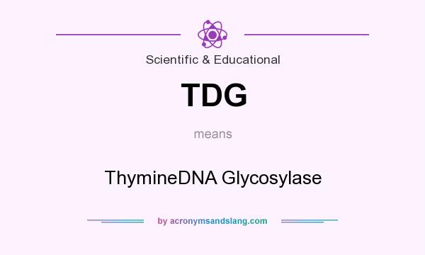 What does TDG mean? It stands for ThymineDNA Glycosylase