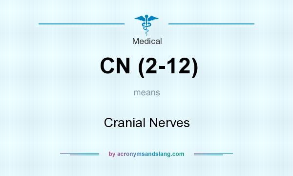 What does CN (2-12) mean? It stands for Cranial Nerves