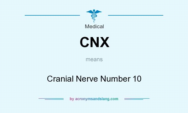 What does CNX mean? It stands for Cranial Nerve Number 10