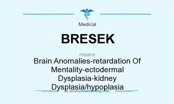 What does BRESEK mean? It stands for Brain Anomalies-retardation Of Mentality-ectodermal Dysplasia-kidney Dysplasia/hypoplasia