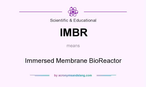 What does IMBR mean? It stands for Immersed Membrane BioReactor