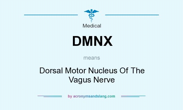 What does DMNX mean? It stands for Dorsal Motor Nucleus Of The Vagus Nerve