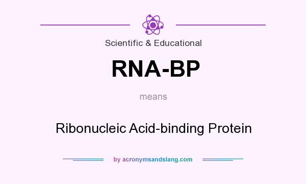 What does RNA-BP mean? It stands for Ribonucleic Acid-binding Protein