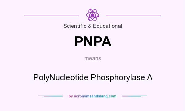 What does PNPA mean? It stands for PolyNucleotide Phosphorylase A