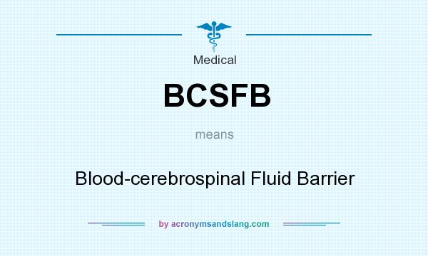 What does BCSFB mean? It stands for Blood-cerebrospinal Fluid Barrier