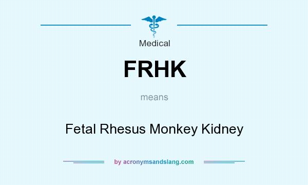 What does FRHK mean? It stands for Fetal Rhesus Monkey Kidney