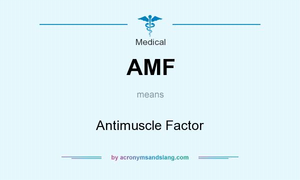 What does AMF mean? It stands for Antimuscle Factor