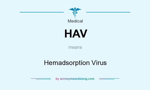 What does HAV mean? It stands for Hemadsorption Virus