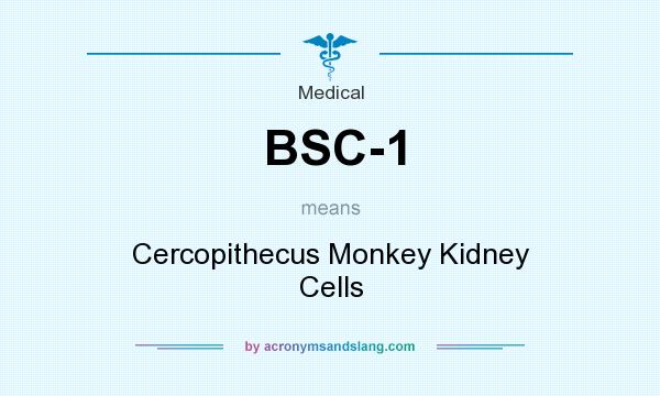 What does BSC-1 mean? It stands for Cercopithecus Monkey Kidney Cells
