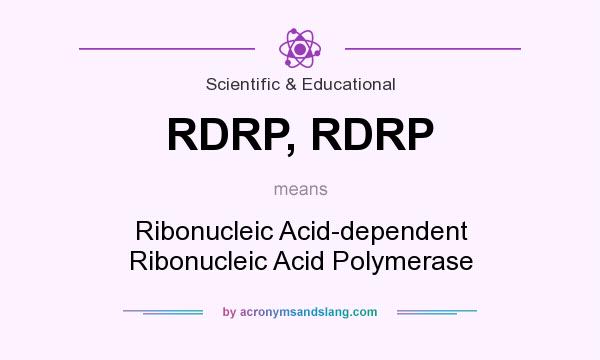 What does RDRP, RDRP mean? It stands for Ribonucleic Acid-dependent Ribonucleic Acid Polymerase
