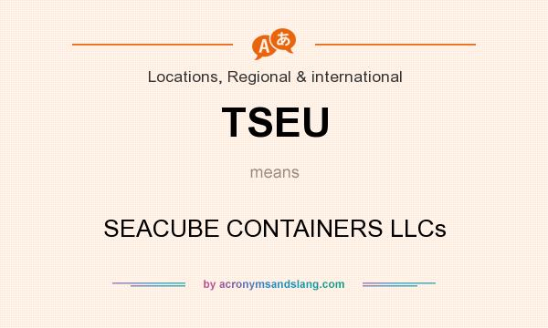 What does TSEU mean? It stands for SEACUBE CONTAINERS LLCs