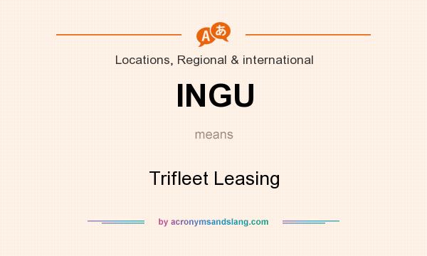 What does INGU mean? It stands for Trifleet Leasing