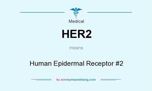 What does HER2 mean? It stands for Human Epidermal Receptor #2