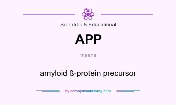 What does APP mean? It stands for amyloid ß-protein precursor