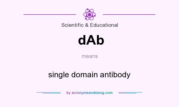 What does dAb mean? It stands for single domain antibody